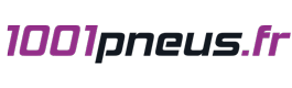 1001pneus